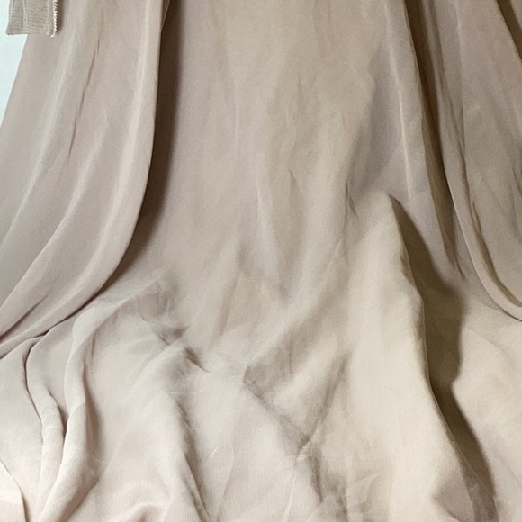 Xscape Evenings Long Chiffon Dress with Illusion Sequin Long Sleeves (Blush) - Picture 6 of 11